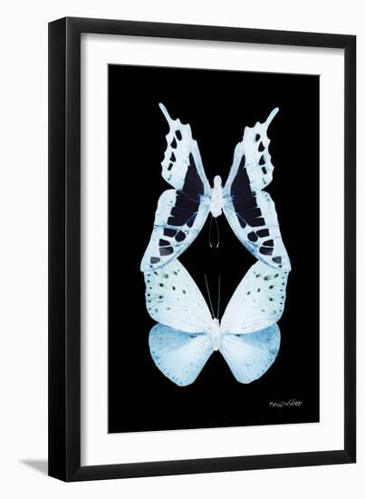 Miss Butterfly Duo Cloanthaea II - X-Ray Black Edition-Philippe Hugonnard-Framed Photographic Print