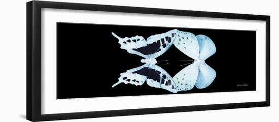 Miss Butterfly Duo Cloanthaea Pan - X-Ray Black Edition-Philippe Hugonnard-Framed Photographic Print