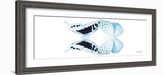 Miss Butterfly Duo Cloanthaea Pan - X-Ray White Edition-Philippe Hugonnard-Framed Photographic Print