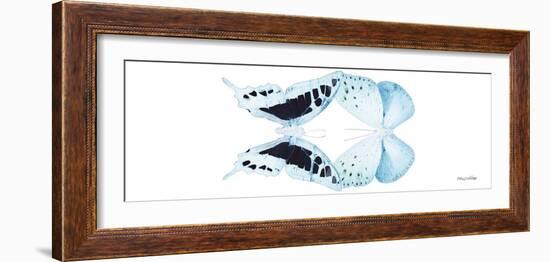 Miss Butterfly Duo Cloanthaea Pan - X-Ray White Edition-Philippe Hugonnard-Framed Photographic Print