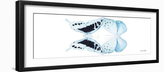 Miss Butterfly Duo Cloanthaea Pan - X-Ray White Edition-Philippe Hugonnard-Framed Photographic Print