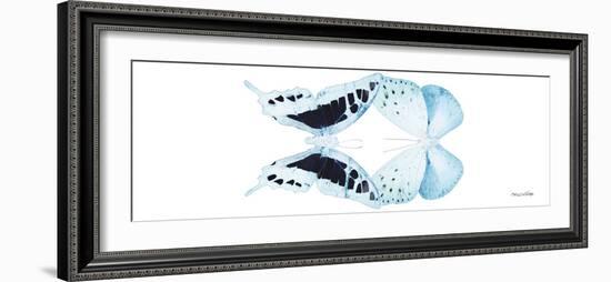 Miss Butterfly Duo Cloanthaea Pan - X-Ray White Edition-Philippe Hugonnard-Framed Photographic Print