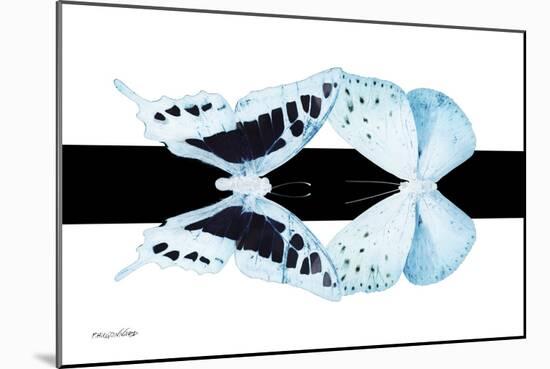 Miss Butterfly Duo Cloanthaea - X-Ray B&W Edition II-Philippe Hugonnard-Mounted Photographic Print