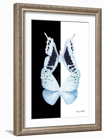 Miss Butterfly Duo Euploanthus II - X-Ray B&W Edition-Philippe Hugonnard-Framed Photographic Print