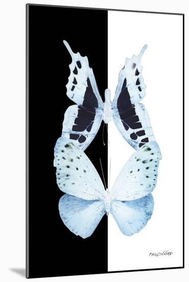 Miss Butterfly Duo Euploanthus II - X-Ray B&W Edition-Philippe Hugonnard-Mounted Photographic Print