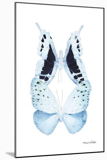 Miss Butterfly Duo Euploanthus II - X-Ray White Edition-Philippe Hugonnard-Mounted Photographic Print