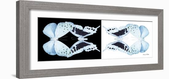 Miss Butterfly Duo Euploanthus Pan - X-Ray B&W Edition-Philippe Hugonnard-Framed Photographic Print