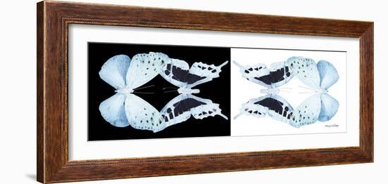 Miss Butterfly Duo Euploanthus Pan - X-Ray B&W Edition-Philippe Hugonnard-Framed Photographic Print