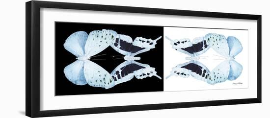 Miss Butterfly Duo Euploanthus Pan - X-Ray B&W Edition-Philippe Hugonnard-Framed Photographic Print