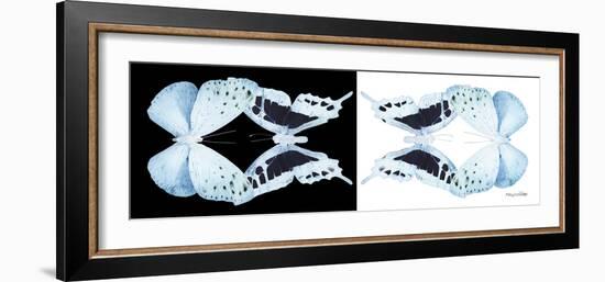 Miss Butterfly Duo Euploanthus Pan - X-Ray B&W Edition-Philippe Hugonnard-Framed Photographic Print