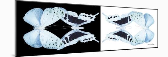 Miss Butterfly Duo Euploanthus Pan - X-Ray B&W Edition-Philippe Hugonnard-Mounted Photographic Print