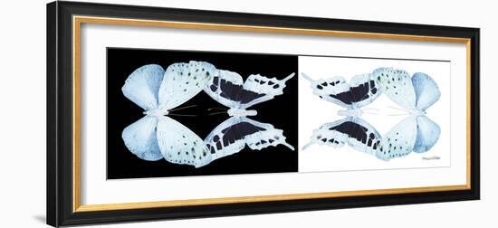 Miss Butterfly Duo Euploanthus Pan - X-Ray B&W Edition-Philippe Hugonnard-Framed Photographic Print