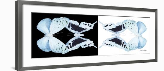 Miss Butterfly Duo Euploanthus Pan - X-Ray B&W Edition-Philippe Hugonnard-Framed Photographic Print