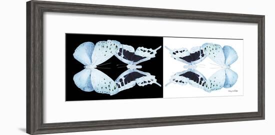 Miss Butterfly Duo Euploanthus Pan - X-Ray B&W Edition-Philippe Hugonnard-Framed Photographic Print