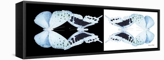 Miss Butterfly Duo Euploanthus Pan - X-Ray B&W Edition-Philippe Hugonnard-Framed Stretched Canvas