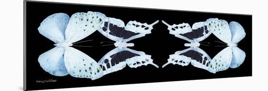 Miss Butterfly Duo Euploanthus Pan - X-Ray Black Edition II-Philippe Hugonnard-Mounted Photographic Print