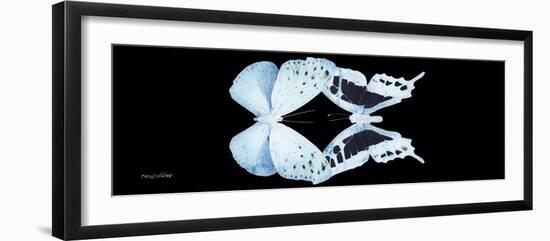 Miss Butterfly Duo Euploanthus Pan - X-Ray Black Edition-Philippe Hugonnard-Framed Photographic Print
