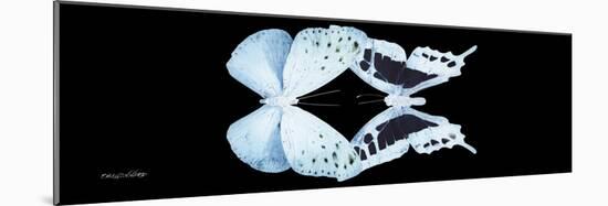 Miss Butterfly Duo Euploanthus Pan - X-Ray Black Edition-Philippe Hugonnard-Mounted Photographic Print