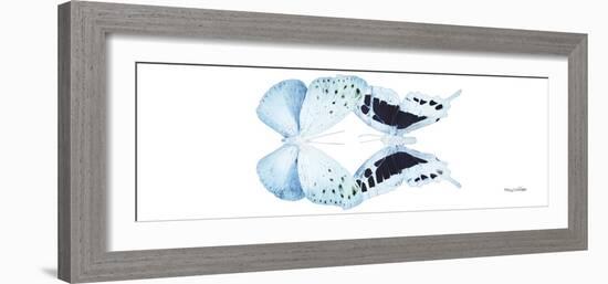 Miss Butterfly Duo Euploanthus Pan - X-Ray White Edition-Philippe Hugonnard-Framed Photographic Print