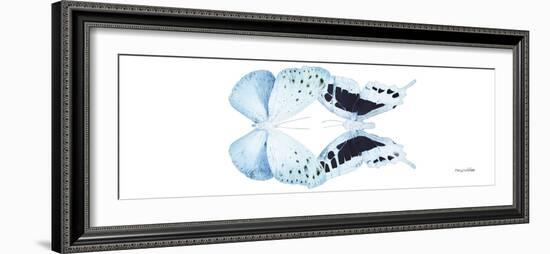 Miss Butterfly Duo Euploanthus Pan - X-Ray White Edition-Philippe Hugonnard-Framed Photographic Print