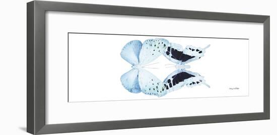 Miss Butterfly Duo Euploanthus Pan - X-Ray White Edition-Philippe Hugonnard-Framed Photographic Print