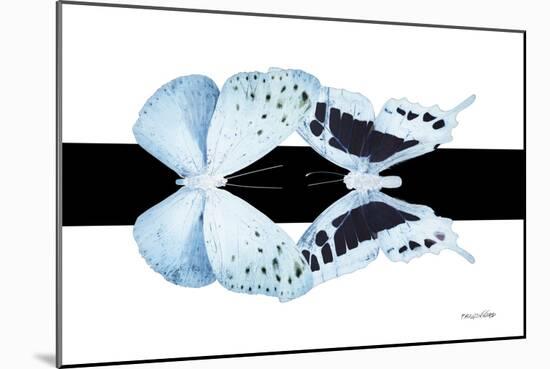 Miss Butterfly Duo Euploanthus - X-Ray B&W Edition-Philippe Hugonnard-Mounted Photographic Print