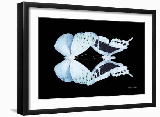 Miss Butterfly Duo Euploanthus - X-Ray Black Edition-Philippe Hugonnard-Framed Photographic Print