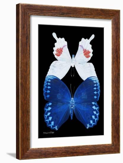 Miss Butterfly Duo Formohermos II - X-Ray Black Edition-Philippe Hugonnard-Framed Premium Photographic Print