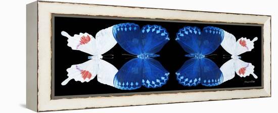 Miss Butterfly Duo Formohermos Pan - X-Ray Black Edition II-Philippe Hugonnard-Framed Premier Image Canvas