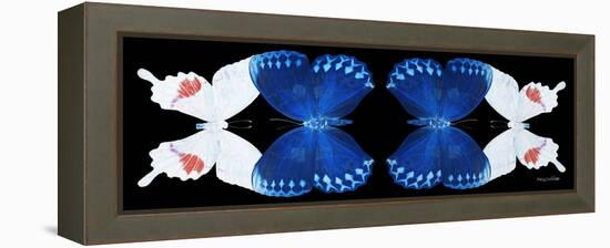 Miss Butterfly Duo Formohermos Pan - X-Ray Black Edition II-Philippe Hugonnard-Framed Premier Image Canvas