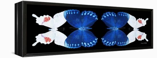 Miss Butterfly Duo Formohermos Pan - X-Ray Black Edition II-Philippe Hugonnard-Framed Premier Image Canvas