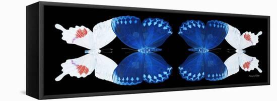 Miss Butterfly Duo Formohermos Pan - X-Ray Black Edition II-Philippe Hugonnard-Framed Premier Image Canvas