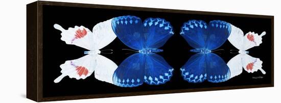 Miss Butterfly Duo Formohermos Pan - X-Ray Black Edition II-Philippe Hugonnard-Framed Premier Image Canvas