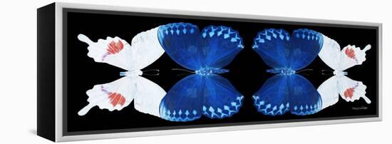 Miss Butterfly Duo Formohermos Pan - X-Ray Black Edition II-Philippe Hugonnard-Framed Premier Image Canvas