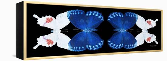 Miss Butterfly Duo Formohermos Pan - X-Ray Black Edition II-Philippe Hugonnard-Framed Premier Image Canvas