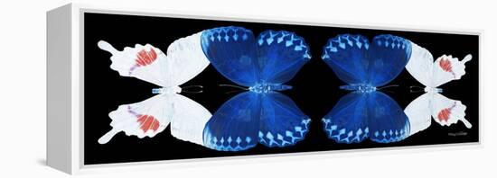 Miss Butterfly Duo Formohermos Pan - X-Ray Black Edition II-Philippe Hugonnard-Framed Premier Image Canvas