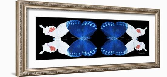 Miss Butterfly Duo Formohermos Pan - X-Ray Black Edition II-Philippe Hugonnard-Framed Photographic Print