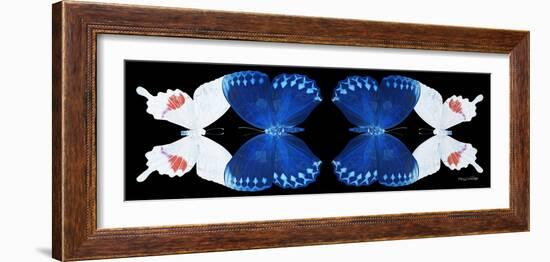 Miss Butterfly Duo Formohermos Pan - X-Ray Black Edition II-Philippe Hugonnard-Framed Photographic Print