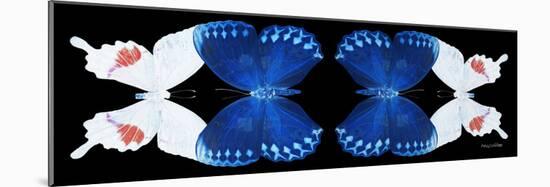 Miss Butterfly Duo Formohermos Pan - X-Ray Black Edition II-Philippe Hugonnard-Mounted Photographic Print