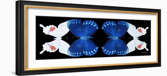 Miss Butterfly Duo Formohermos Pan - X-Ray Black Edition II-Philippe Hugonnard-Framed Photographic Print