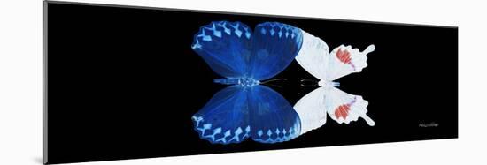 Miss Butterfly Duo Formohermos Pan - X-Ray Black Edition-Philippe Hugonnard-Mounted Photographic Print