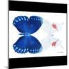 Miss Butterfly Duo Formohermos Sq - X-Ray B&W Edition-Philippe Hugonnard-Mounted Photographic Print