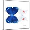Miss Butterfly Duo Formohermos Sq - X-Ray White Edition-Philippe Hugonnard-Mounted Photographic Print