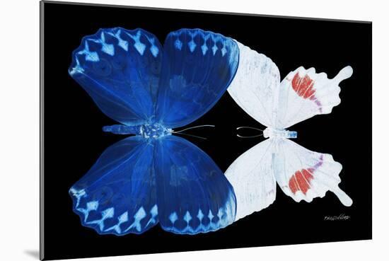 Miss Butterfly Duo Formohermos - X-Ray Black Edition-Philippe Hugonnard-Mounted Photographic Print