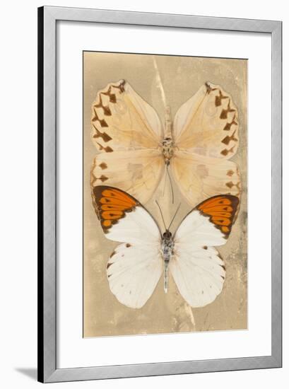 Miss Butterfly Duo Formoia II - Dark Yellow-Philippe Hugonnard-Framed Photographic Print