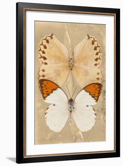 Miss Butterfly Duo Formoia II - Dark Yellow-Philippe Hugonnard-Framed Photographic Print