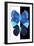 Miss Butterfly Duo Formoia II - X-Ray B&W Edition-Philippe Hugonnard-Framed Photographic Print