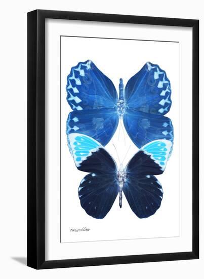 Miss Butterfly Duo Formoia II - X-Ray White Edition-Philippe Hugonnard-Framed Photographic Print