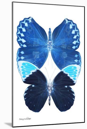 Miss Butterfly Duo Formoia II - X-Ray White Edition-Philippe Hugonnard-Mounted Photographic Print