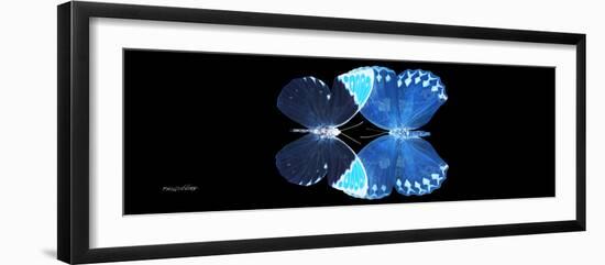 Miss Butterfly Duo Formoia Pan - X-Ray Black Edition-Philippe Hugonnard-Framed Photographic Print